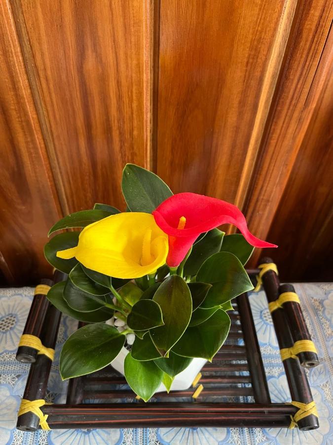 Love Homestay & Spa Quy Nhon Εξωτερικό φωτογραφία